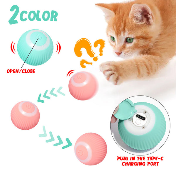 Cat Gravity Smart Rolling Ball